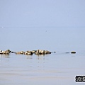 P15.jpg