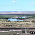 P02.jpg