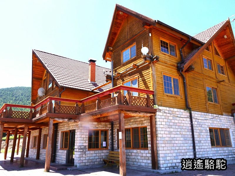 黃色山坡上的MSH蒙古秘史營餐廳-蒙古駱駝