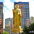 P01.jpg