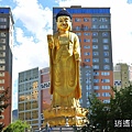 P06.jpg