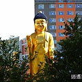 P03.jpg