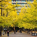 P08.jpg
