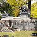 P07.jpg