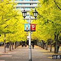 P10.jpg