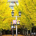 P17.jpg