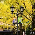 P21.jpg