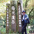 P01.jpg