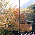 P02.jpg