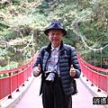 P10.jpg