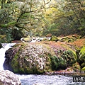 P08.jpg