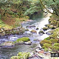 P10.jpg