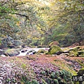P22.jpg