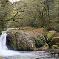 P30.jpg