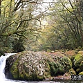 P29.jpg