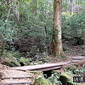 P31.jpg