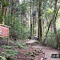 P32.jpg