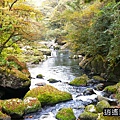 P01.jpg
