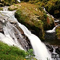 P05.jpg