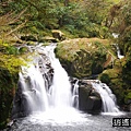 P07.jpg