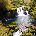 P08.jpg