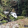P15.jpg
