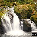 P13.jpg