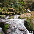 P16.jpg