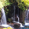 P18.jpg