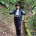 P19.jpg