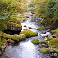 P20.jpg