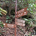 P22.jpg