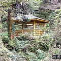 P28.jpg