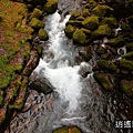 P30.jpg