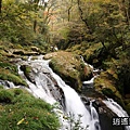 P32.jpg