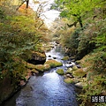 P31.jpg