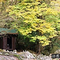 P16.jpg