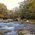 P21.jpg