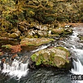 P19.jpg