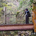 P23.jpg