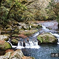 P06.jpg