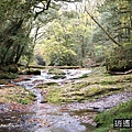 P08.jpg