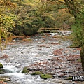 P12.jpg