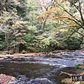 P09.jpg