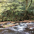 P11.jpg