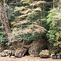 P13.jpg