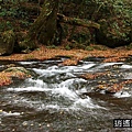 P16.jpg