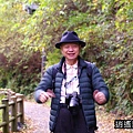 P17.jpg