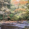 P18.jpg