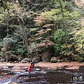 P21.jpg